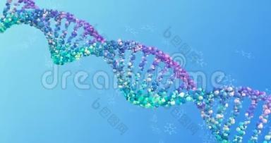 氨基酸旋转DNA链环